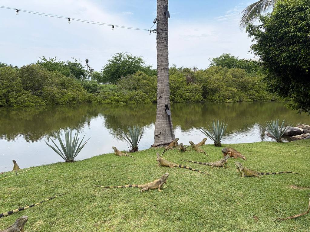 Casa Leta Suites: photo 3