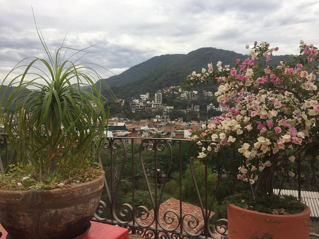 Casa Malia: photo 4