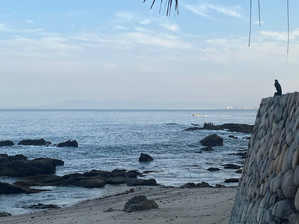 Casa Tres Vidas Beach Villa: photo 4