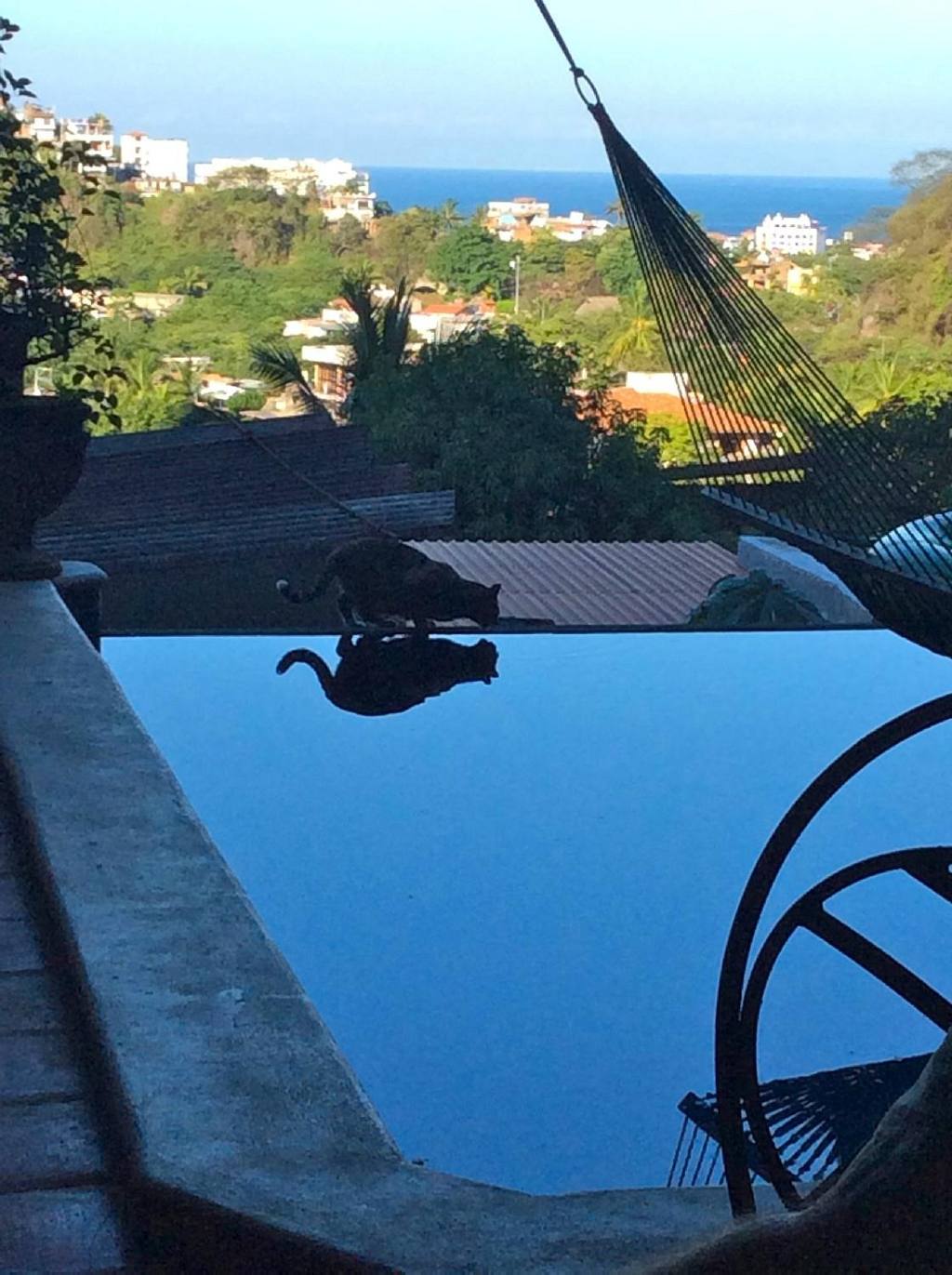 Hacienda Las Animas: photo 1