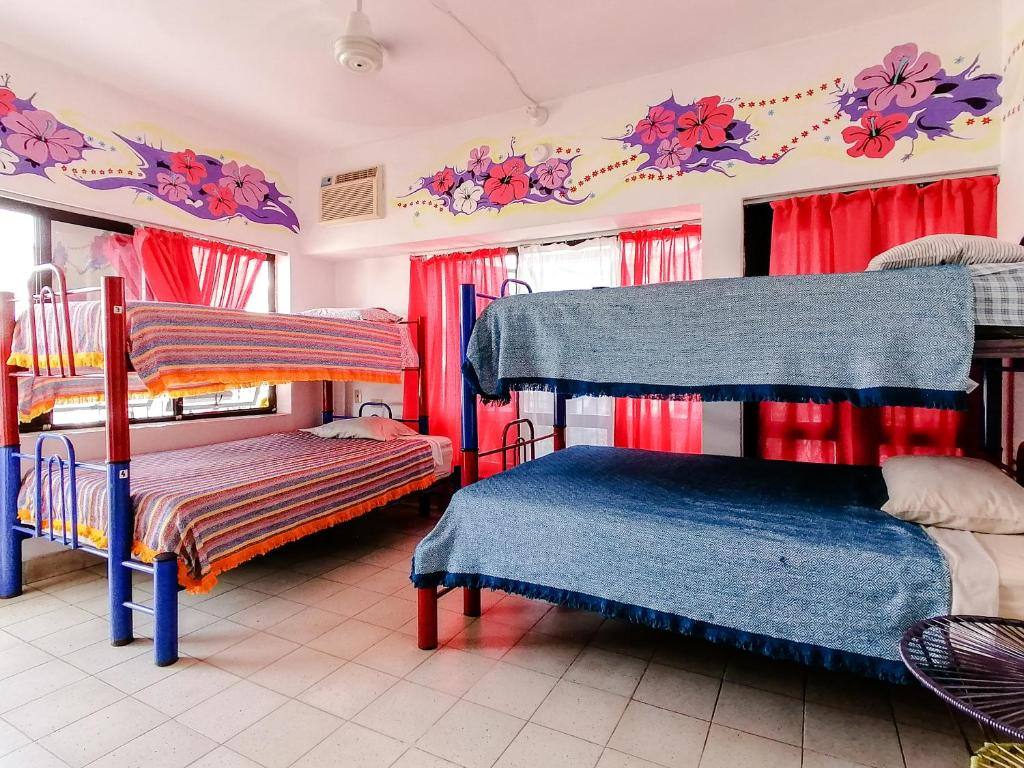 Hostel Vallarta: Room photos