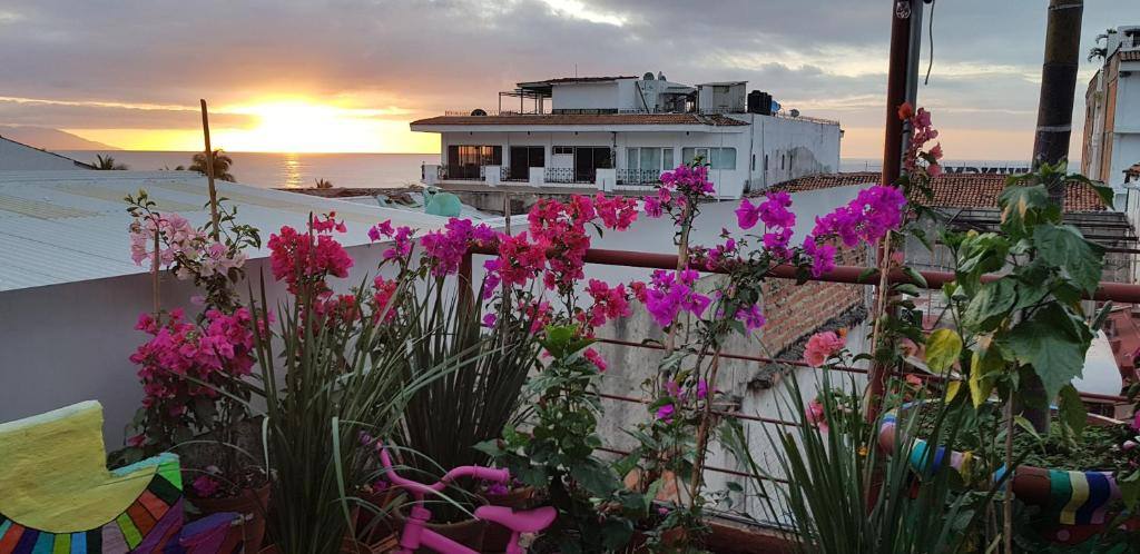 Hostel Vallarta: Facility photos