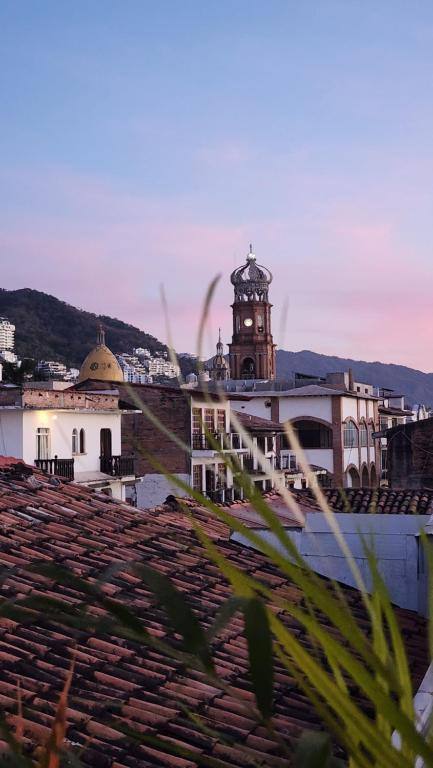 Hostel Vallarta: Property views