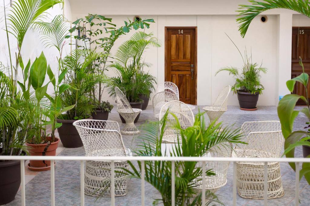 Hotel Hortencia: Entrance