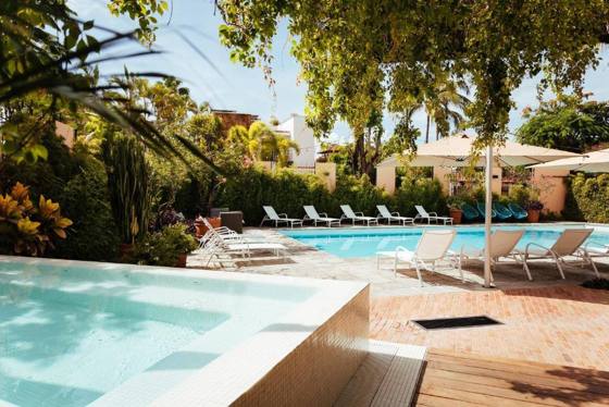 Hotel San Tropico: Garden