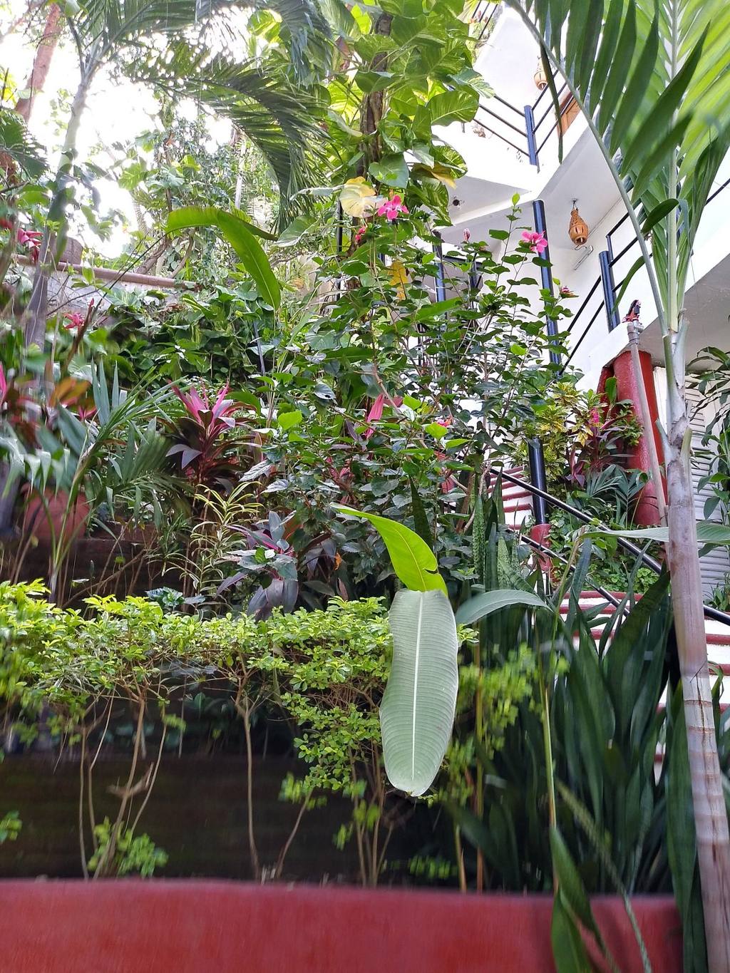 La Terraza Inn: photo 3