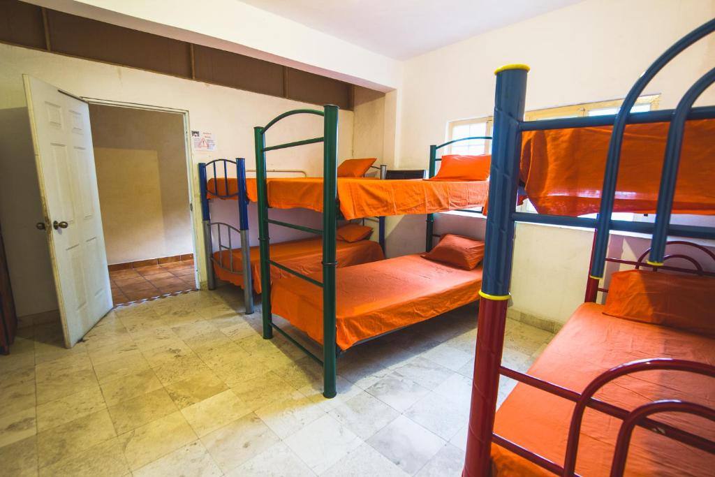 Oasis Hostel: Room photos