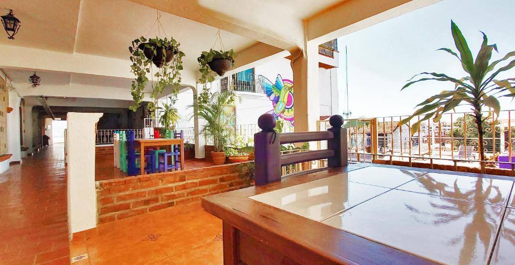 Paloma del Mar Hotel: Balcony/terrace