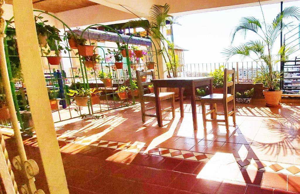Paloma del Mar Hotel: Balcony/terrace