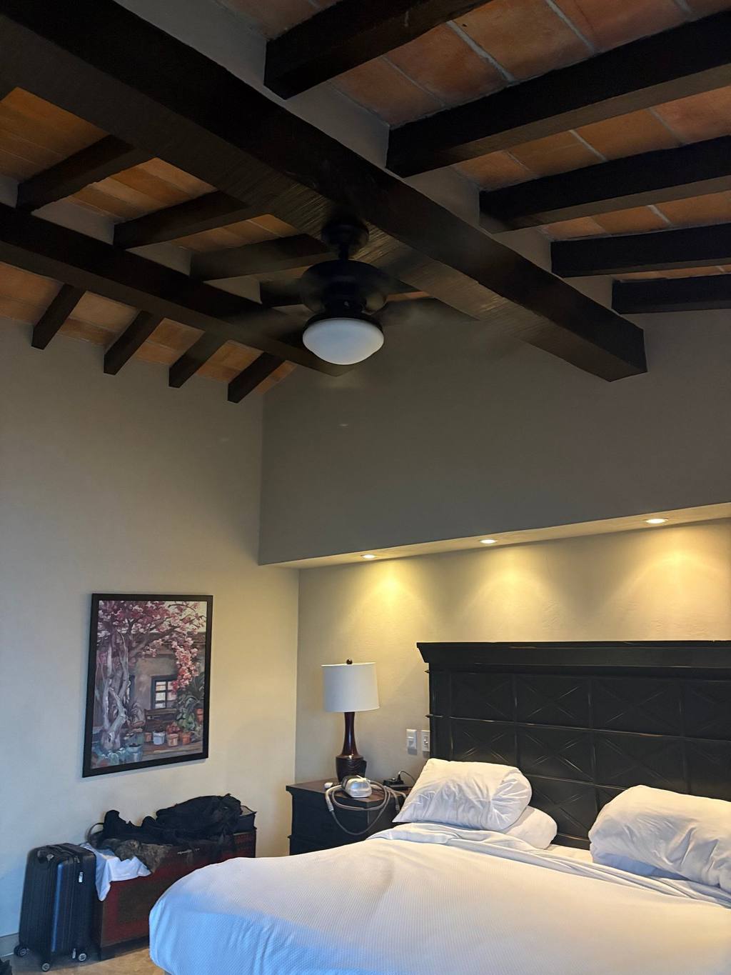 Vallarta Torre: photo 4
