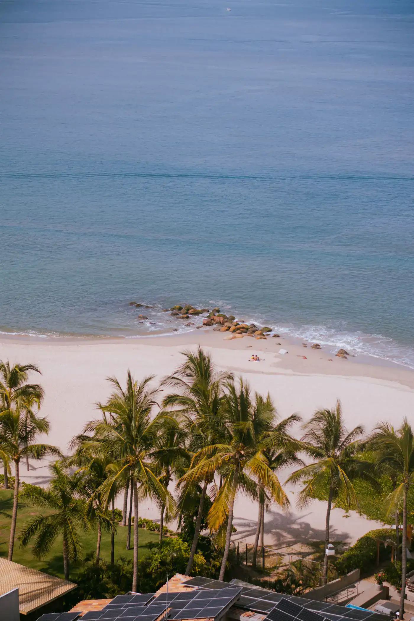 A palm-lined beach in Puerto Vallarta
