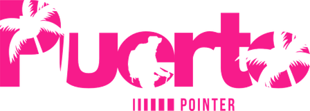 Puerto Vallarta Pointer logo